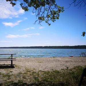 Meet your Posher, Posh